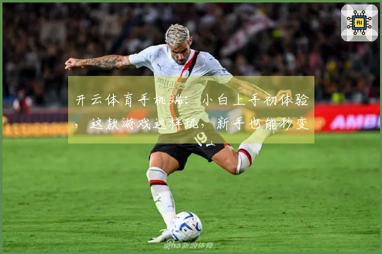 开云体育手机端：小白上手初体验，这款游戏这样玩，新手也能秒变大神！